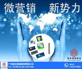 凌志營(yíng)銷策劃 構(gòu)建白云區(qū)網(wǎng)絡(luò)推廣與信息安全一體化的解決方案